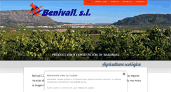 Desktop Screenshot of benivall.com